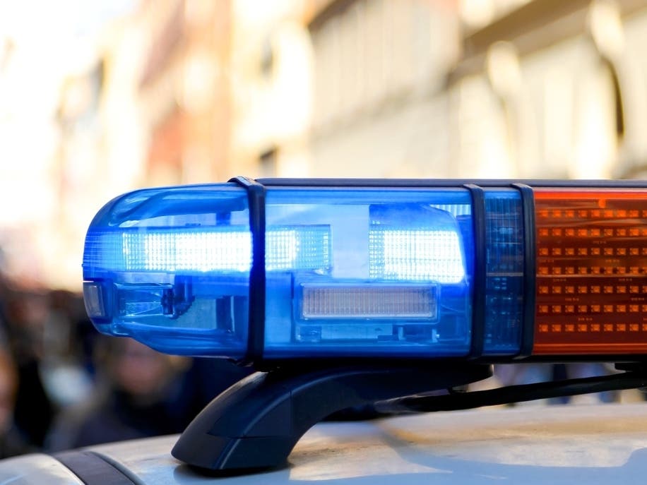 Woman Seriously Injured In Dog Attack In SF: Report