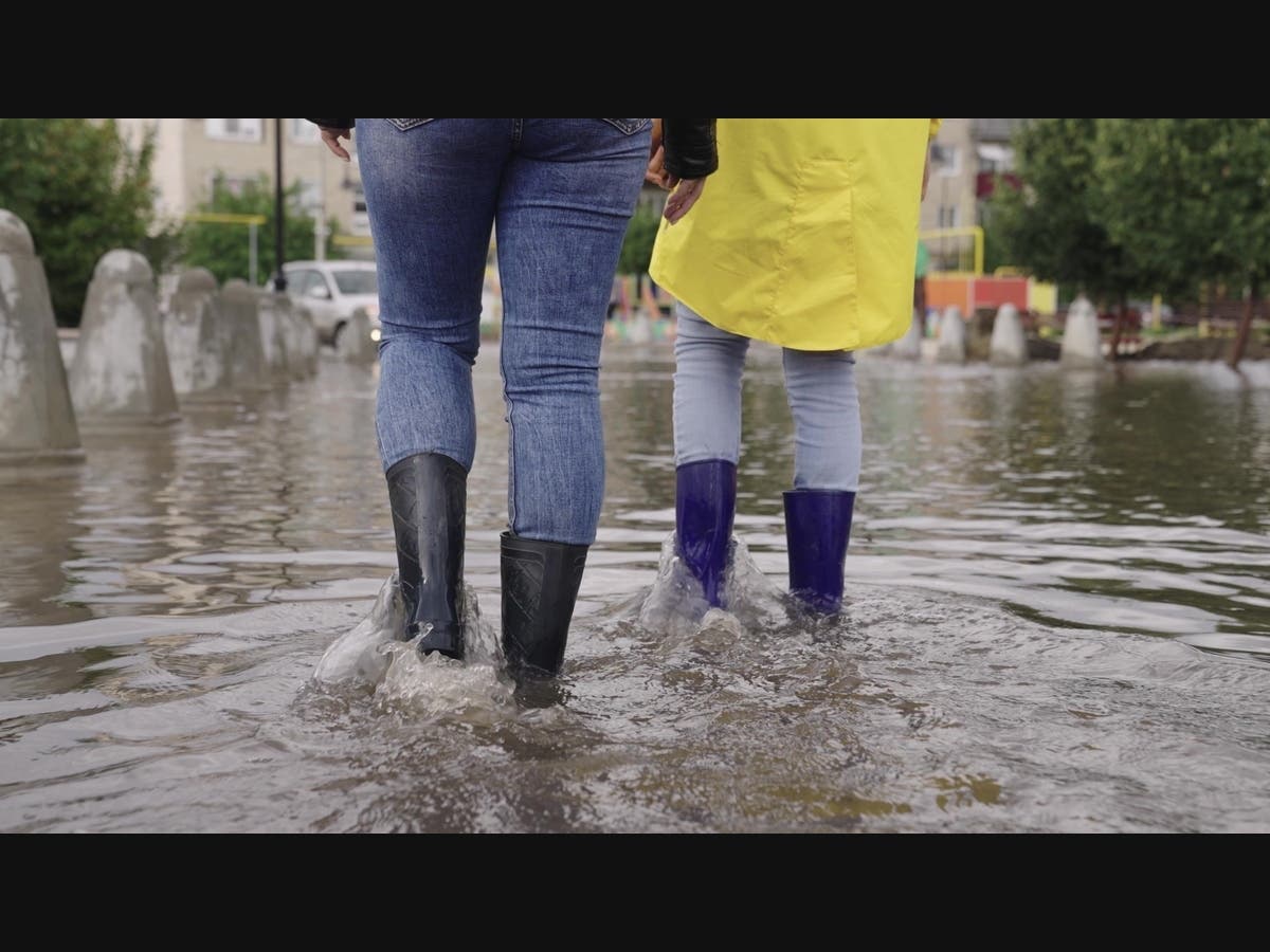 After Past Floods, Redwood City Braces For A Powerful El Niño And King Tides