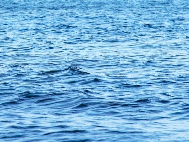 NJ Man's Body Found In Delaware Bay: Report