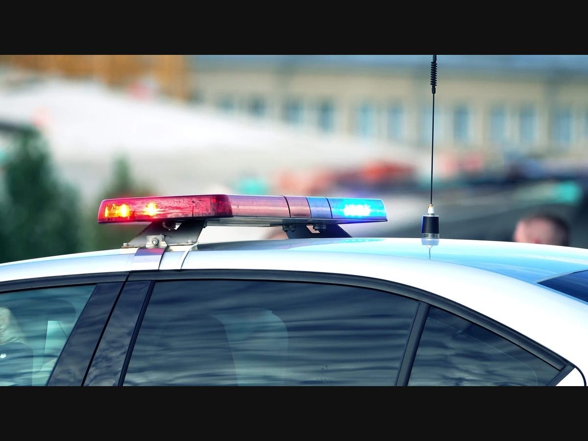 North Woodmere Attempted Burglars Still At Large: PD