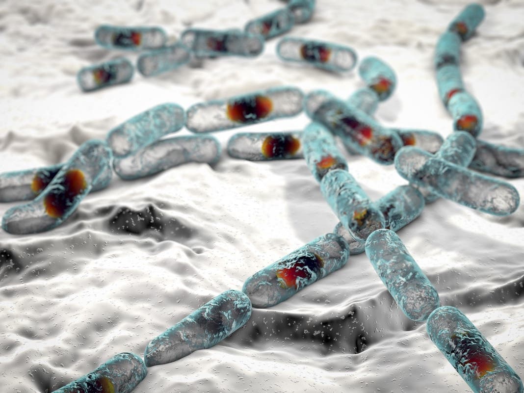 Parasite Outbreak Sickens People In 17 States, Including NY