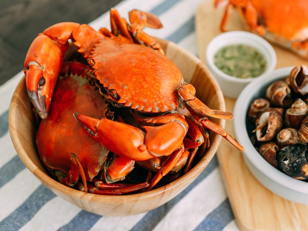 Annapolis Chef To Compete In Great American Seafood Cook-Off: Report