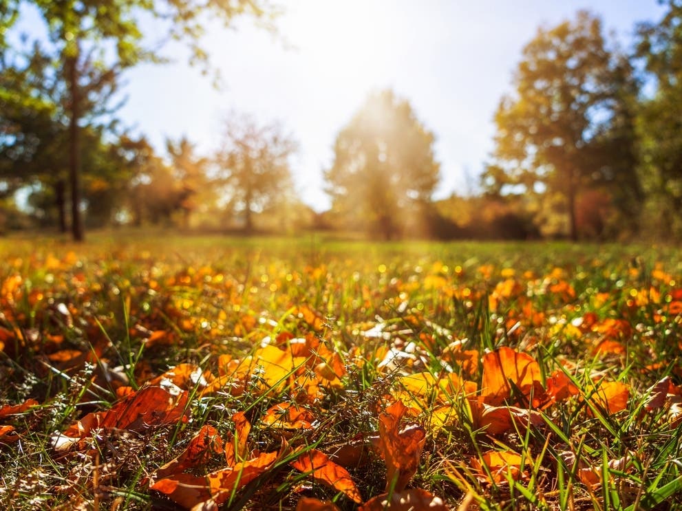 Another Round Of Rain Forecast In MD: Weather Whiplash To Bring Sunny Skies, Then Showers