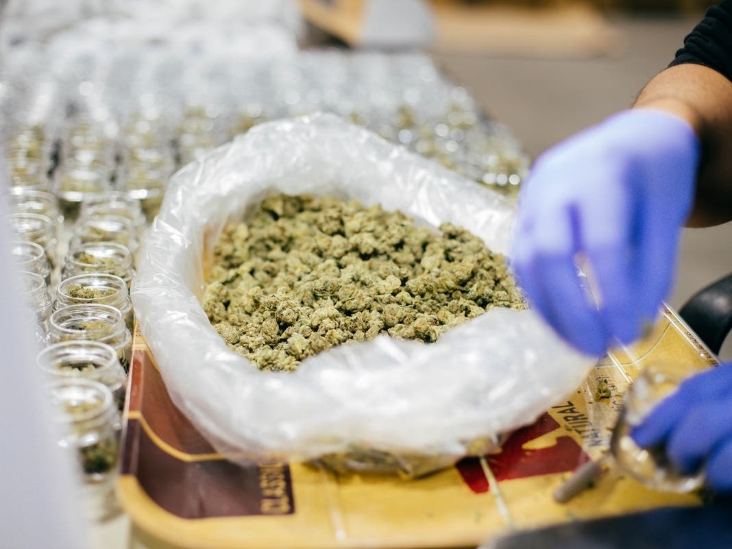 Teen Cannabis Use Increased After CA Legalization: Study