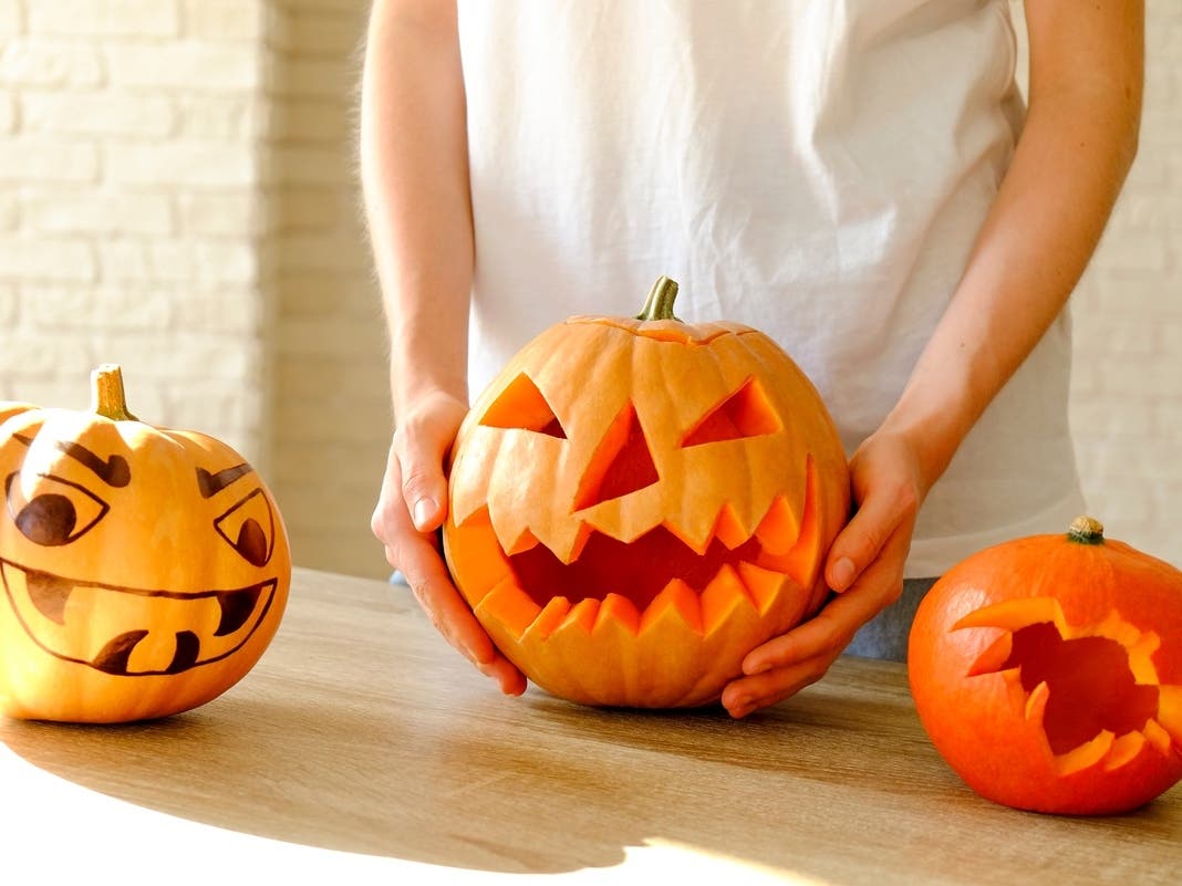 Mr. Bones Pumpkin Patch Returns To Culver City With Fun Fall Festivities: Report