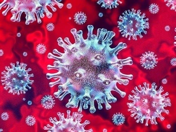 First South African COVID Case Reported In IL | PatchPM - Vimarsana News