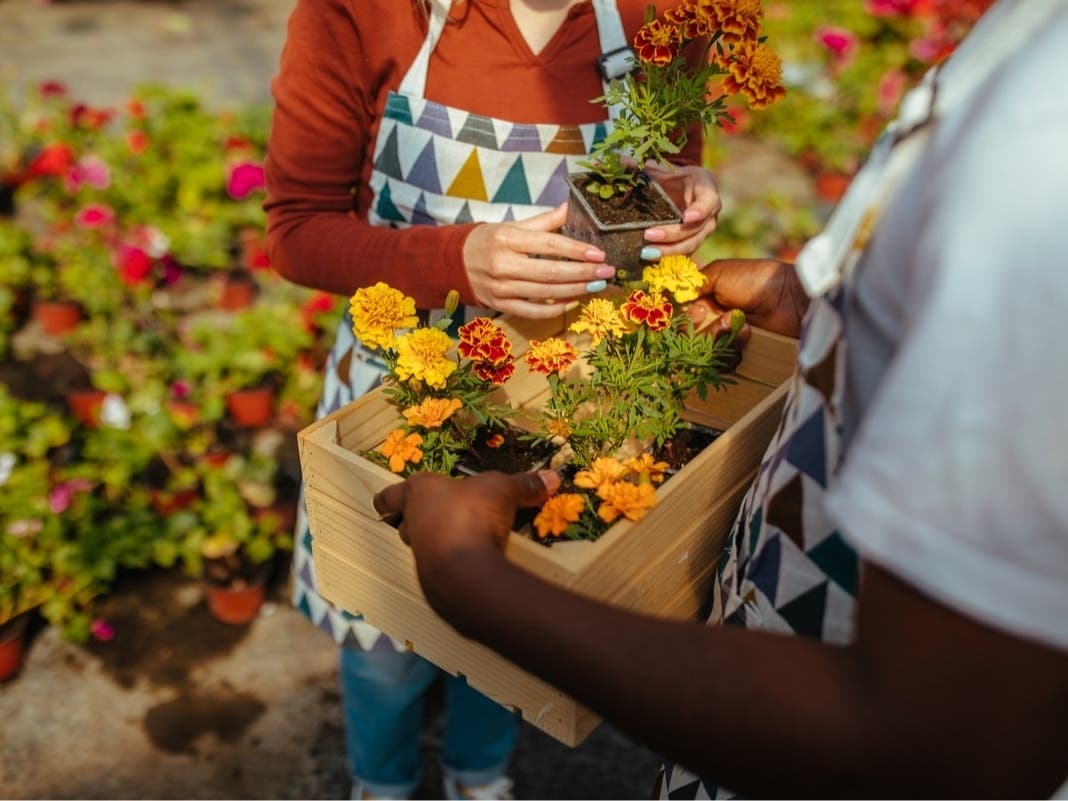 Craft, Plant, And Yard Sales And Fairs | Seacoast Food Truck Fest | More: The Hampton Patch Weekender
