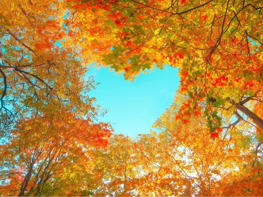Concord Farmers Market | Fall Fiddle Festival | Storytime | Harmony And Hilarity | More: The Patch Weekender