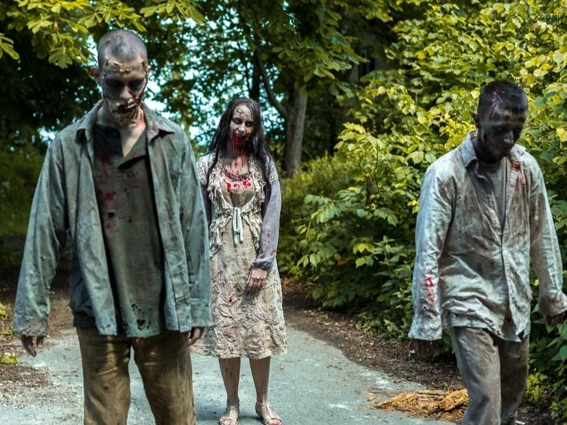 Apple Fest | Estate Planning | Trivia | Toy Drives | Zombie Makeup | More: Week Ahead Events On NH Patch