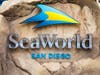 SeaWorld San Diego has been closed for months due to the coronavirus pandemic.