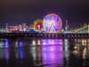 The San Diego County Fair featured rides, concerts​, exhibits, animals, vendors, food and drinks.