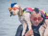 See what's slated this weekend from Saturday, Aug. 6 to Sunday, Aug. 7, including the World Dog Surfing Championships​​ at Linda Mar Beach​ in Pacifica, California. 