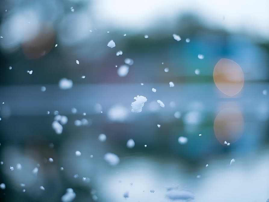 Powerful El Niño Could Bring Unexpected Winter Weather To VA