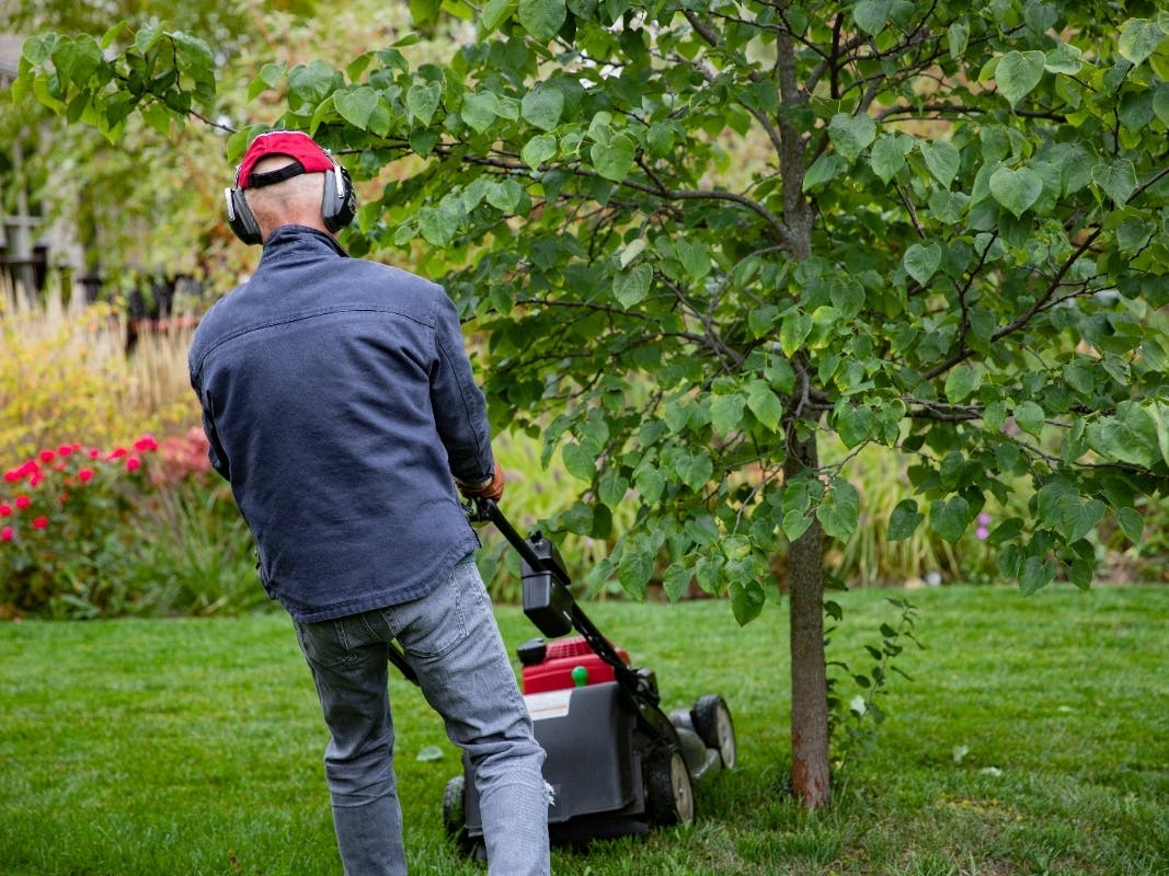 When To Mow On Weekends To Avoid Alienating Neighbors: Block Talk