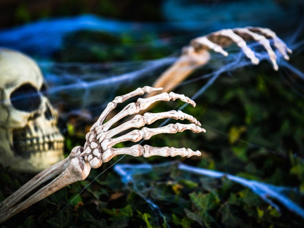When Grotesque Halloween Displays Are Too Scary: BlockTalk