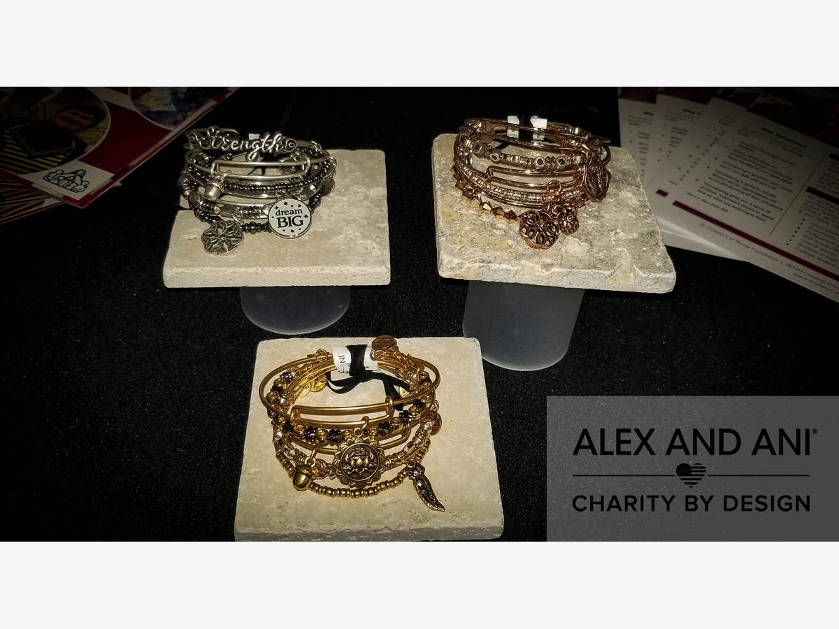 https://patch.com/img/cdn20/users/1000320/20190215/012445/styles/raw/public/processed_images/alex_and_ani_full_pic_close_up_with_logo-1550255011-2347.jpg