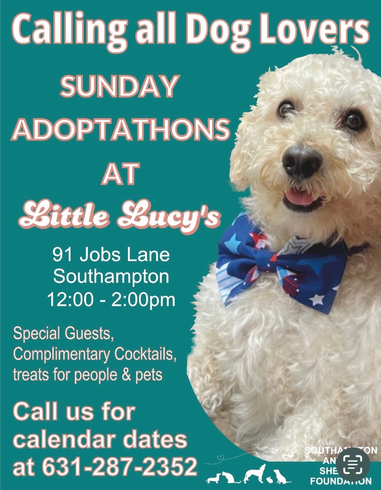 Sunday Adoptathons