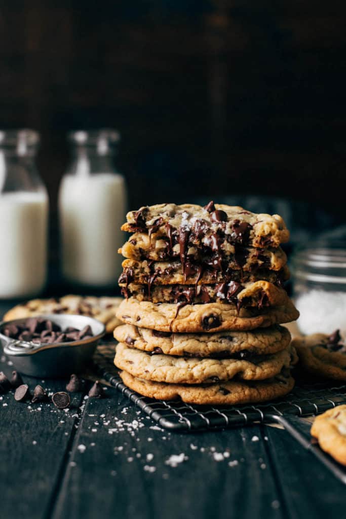 MOAH's Chocolate Chip Cookie Festival
