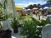 At The Market