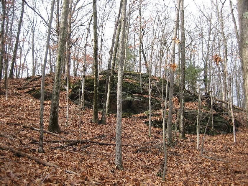 Vernon Land Donated to Trust for Open Space Vernon, CT Patch