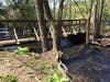 A stream at the Belding Wildlife Management Area.