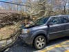A tree fell on a vehicle in Tolland on Saturday.