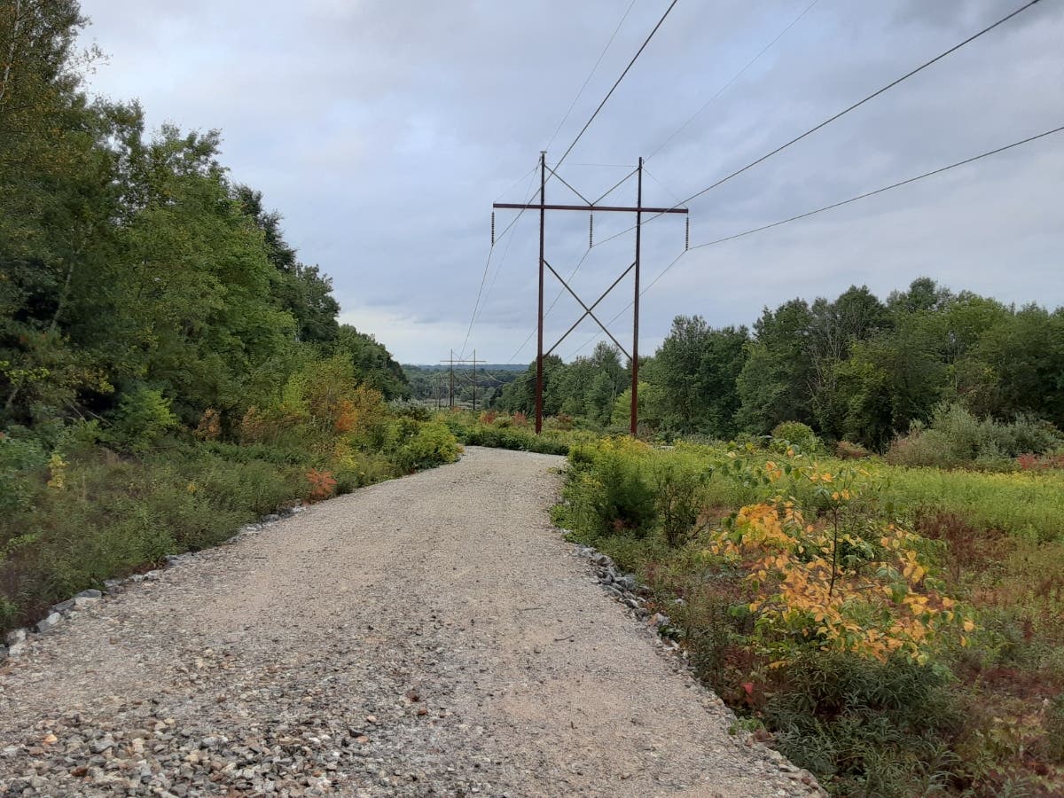 The South Windsor Wildlife Sanctuary.