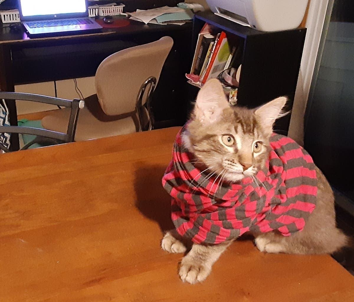 News small post card thumbnail