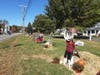 The inaugural scarecrow contest on the Tolland Green. 