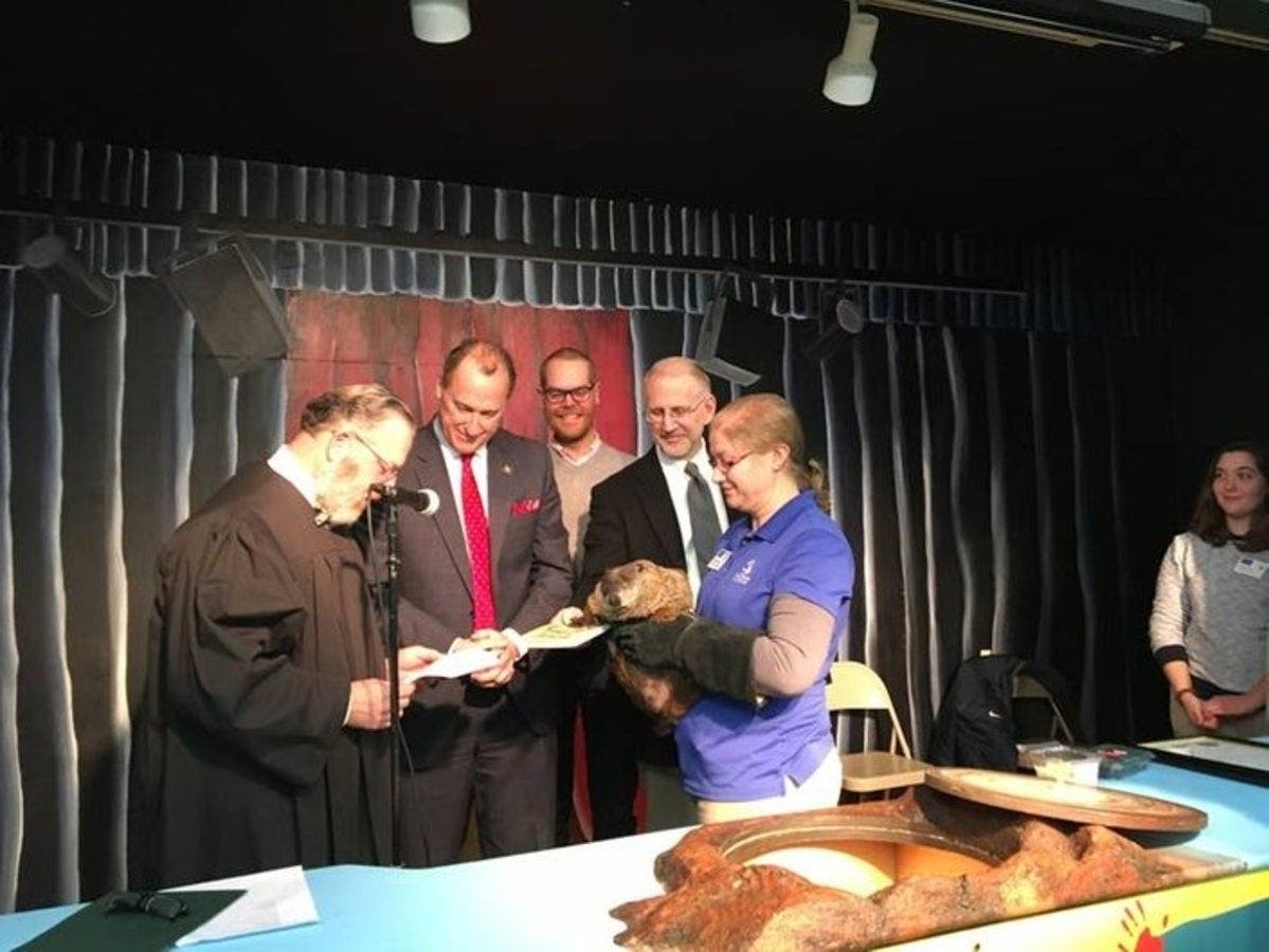 Chuckles, the state groundhog, at the Lutz Children's Museum.