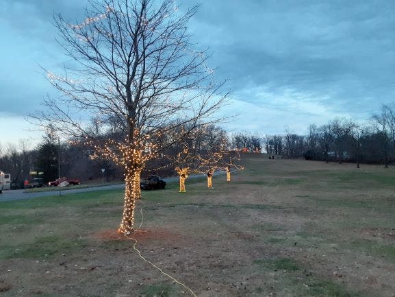 Winterfest Vernon 2020