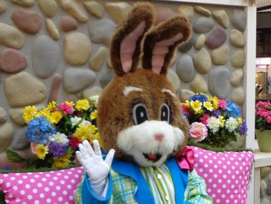 Bunnyville at Westfarms. 