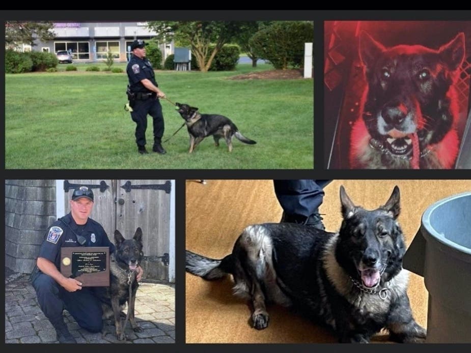 A memorial collage for police dog Nova put out by the Enfield Police Department. 