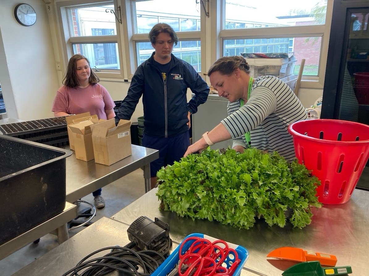 News small post card thumbnail