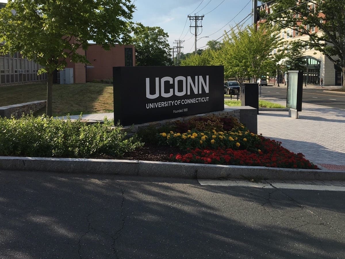 A UConn professor's invention can grow high-quality food in existing indoor urban spaces.