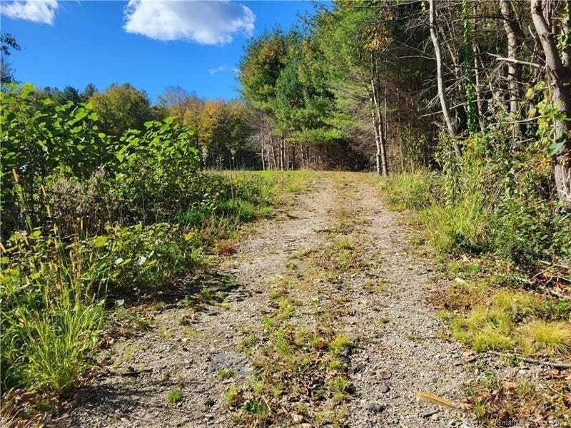 14 Acres — With A Pond — Go On The Market In Tolland Tolland, CT Patch