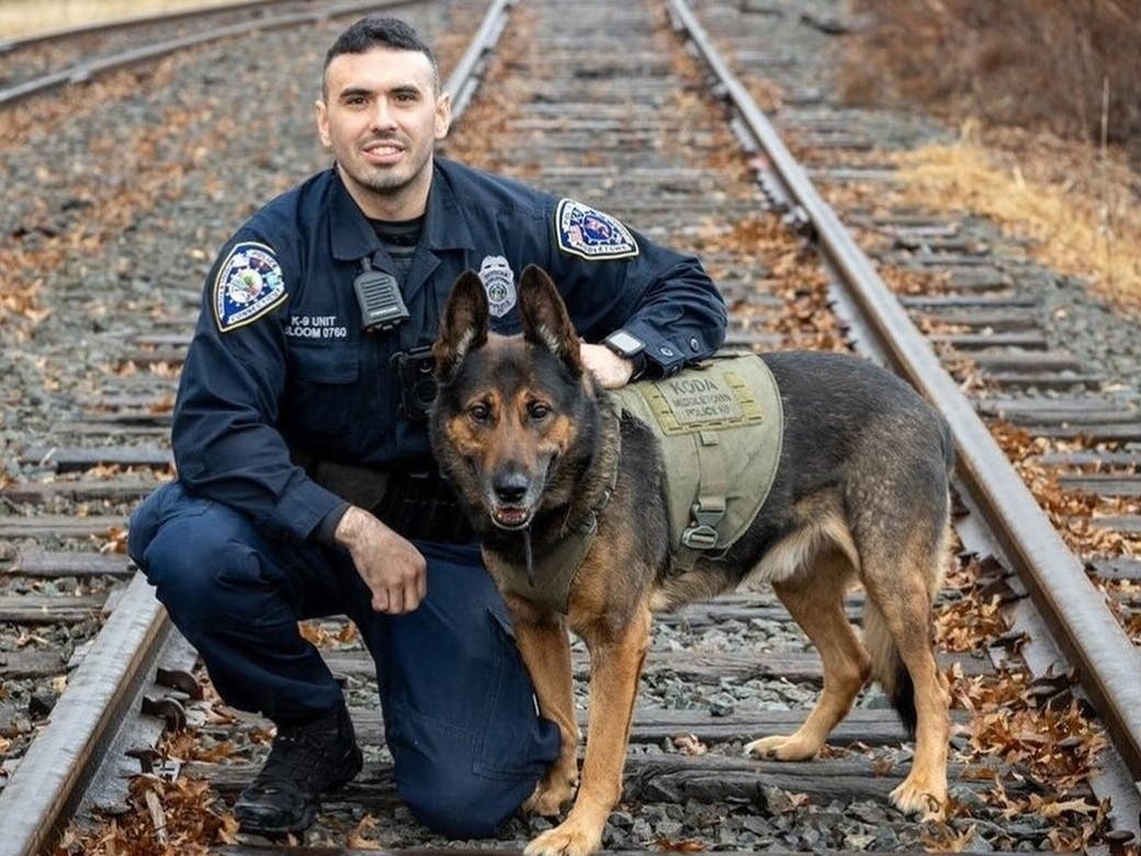 Middletown police dog Koda capped off an accomplished eight-year career with an arrest on his final shift with handler Matthew Bloom.