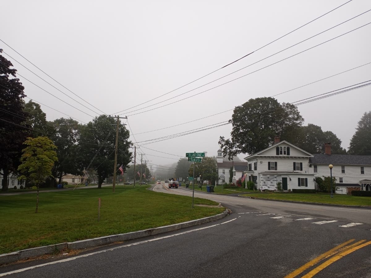 Annual Tolland Unlicensed Dog Survey To Be Conducted Tolland, CT Patch