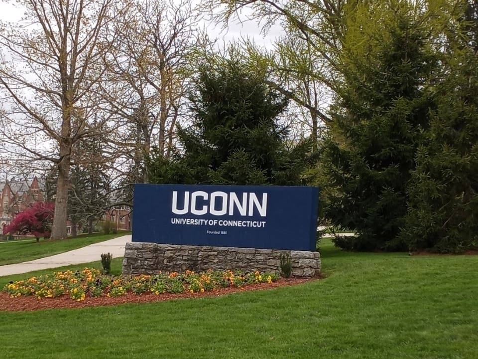 UConn is at the forefront of a food allergy treatment discovery.
