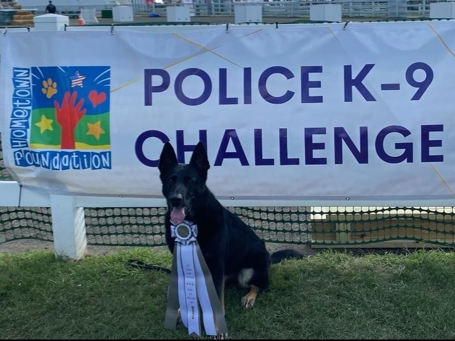 Chalk up another arrest for Glastonbury police dog Soleil. 