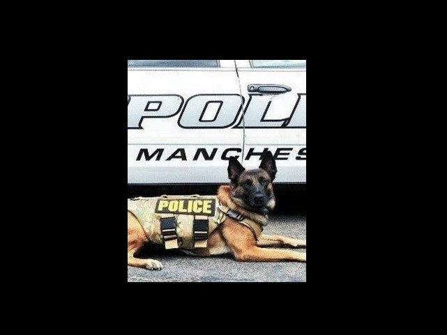 Retired Manchester police dog Camo has died, officials said. 