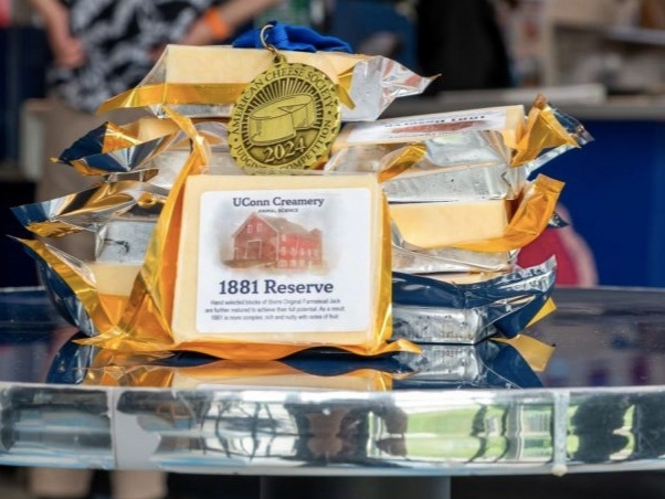 UConn's cheeses have certainly won their share of awards this summer. 