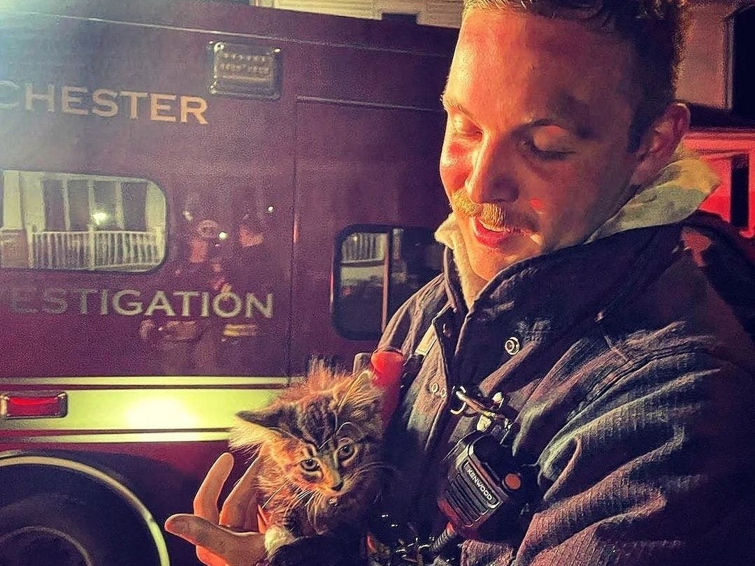 A cat was rescued and cared for at a Manchester house fire Monday. 