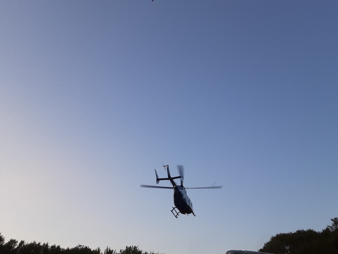 A man was airlifted to an area hospital after being seriously hurt by a tree in Willington, authorities said. 