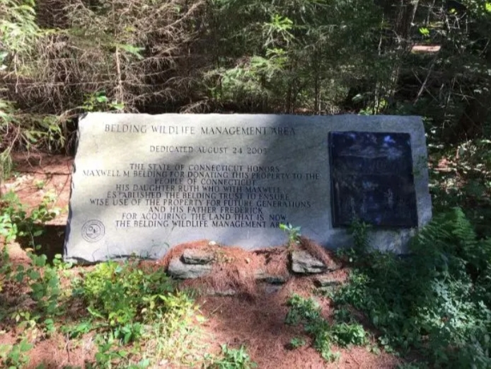 The current bridge ramp lumber at Belding Wildlife Management Area is being removed and replaced.