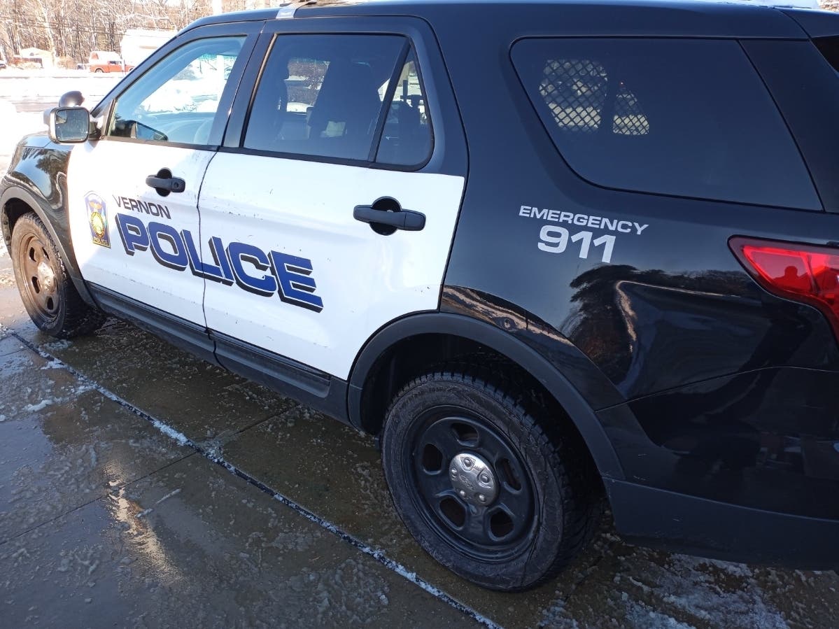 Two disturbances at two businesses in Vernon have resulted in two people taken into custody, police said.