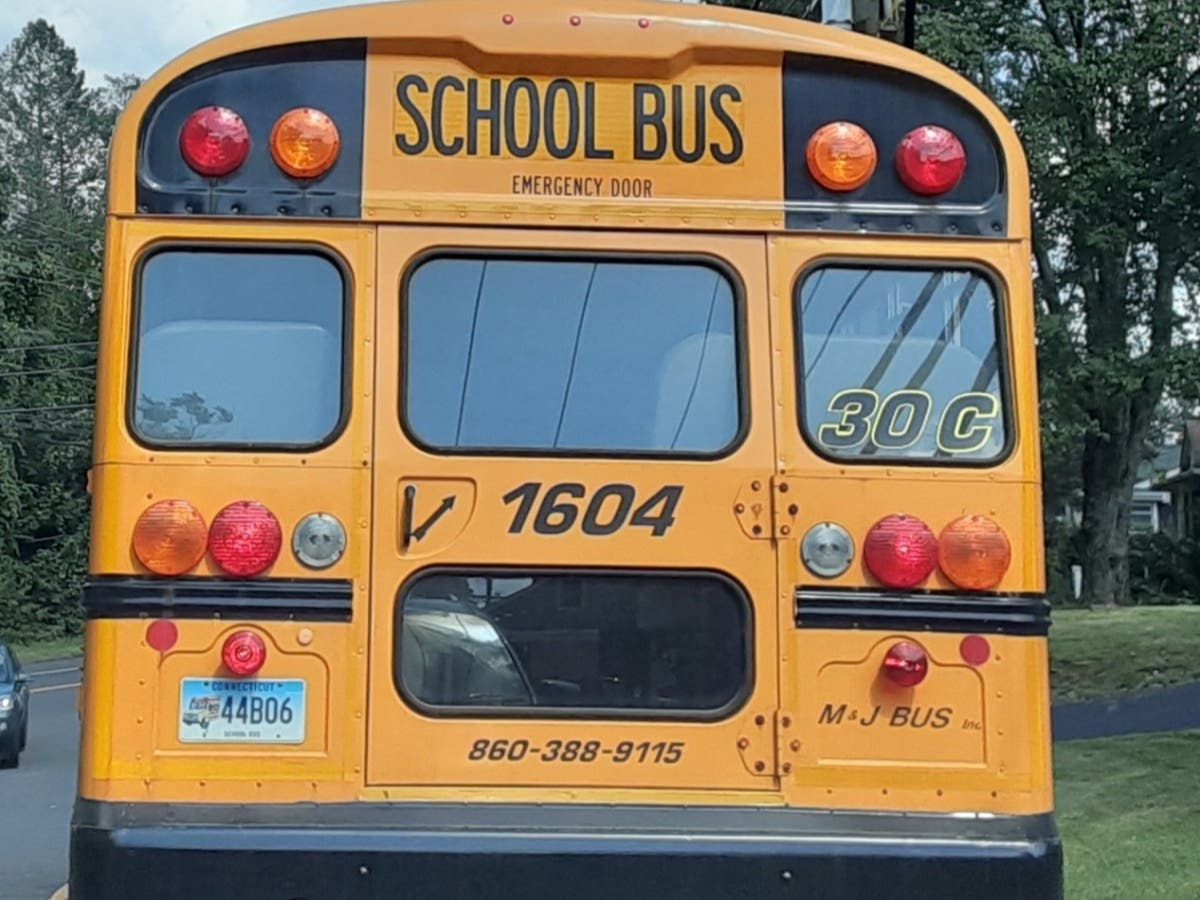 The Vernon Town Council Tuesday approved an ordinance that paves the way for the installation of traffic enforcement cameras on school buses.