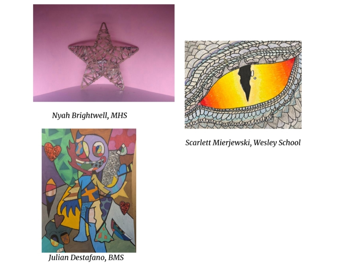 Works at the Middletown Public Schools City Wide K-12 Art Show.