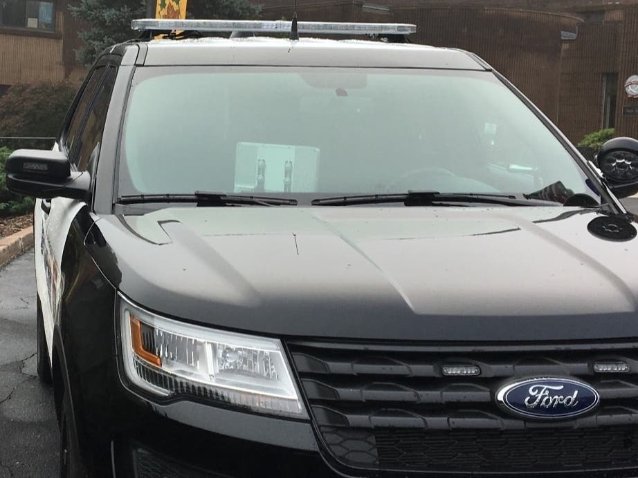 Police officers — and a police dog — rounded up those suspected of car burglaries early Friday, a report shows. 