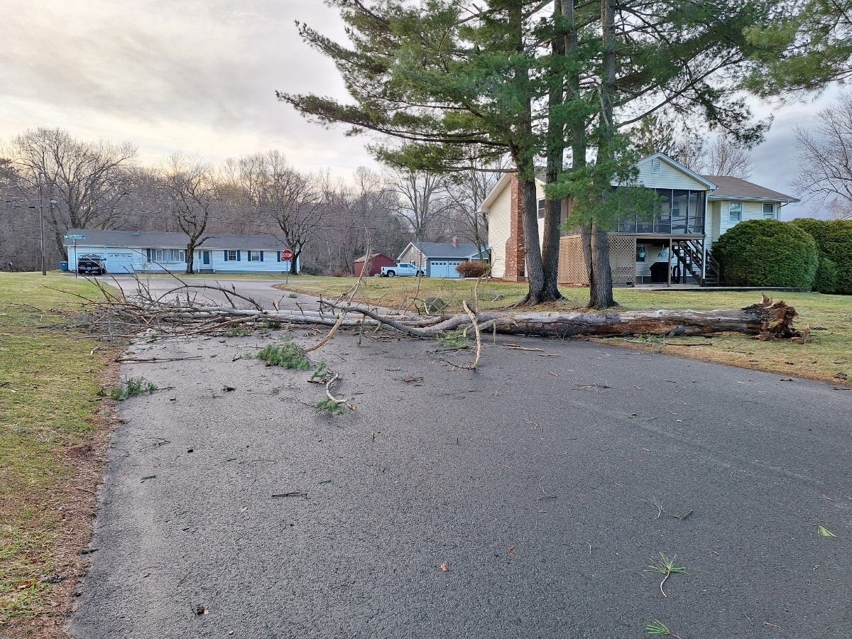Storm Knocks Down Trees, Knocks Out Power In Vernon | Vernon, CT Patch